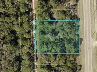 2309 Joel Blvd, Alva, FL 33920