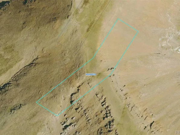 7118 Black Bear MC, Fairplay, CO 80440