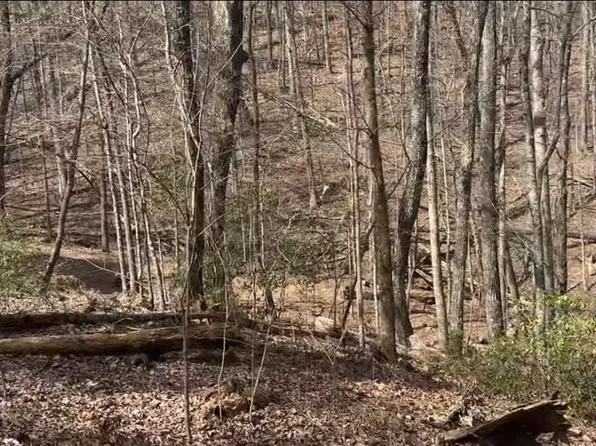 0 Valley View Dr, Jasper, GA 30143