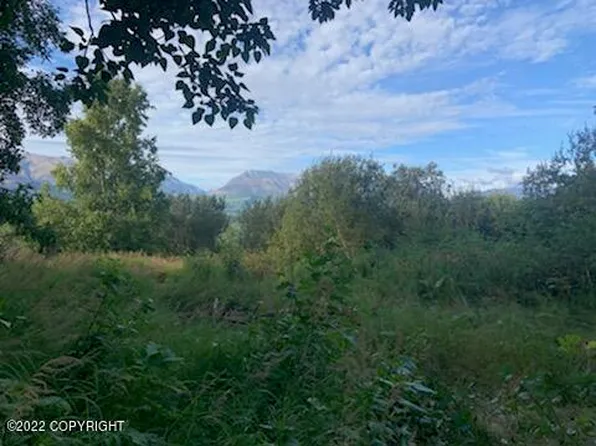 17965 E Woods Dr, Palmer, AK 99645