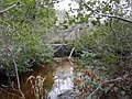 Little River Borders Propety