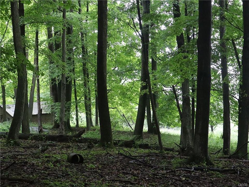 1st image of 7249 Eggleston Ln