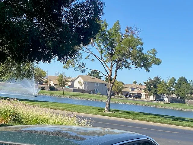 6981 New Melones Cir photo 1