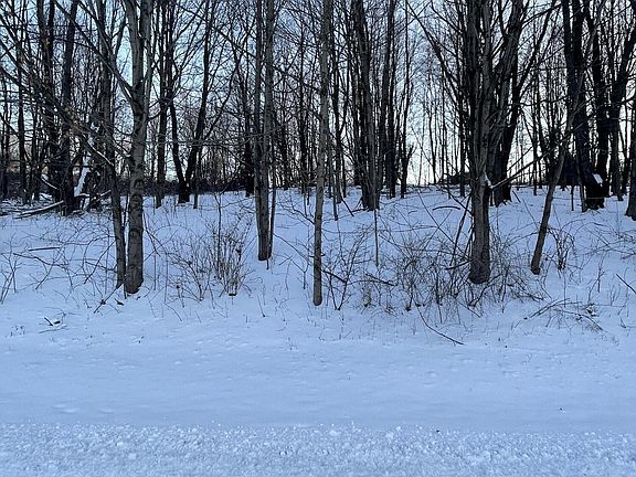 2nd image of 121 Northern Spy Dr #53