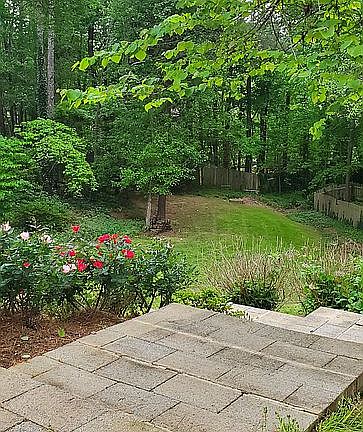 back yard