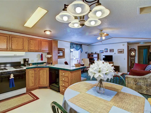 1565 E Street, Golden, CO 80401