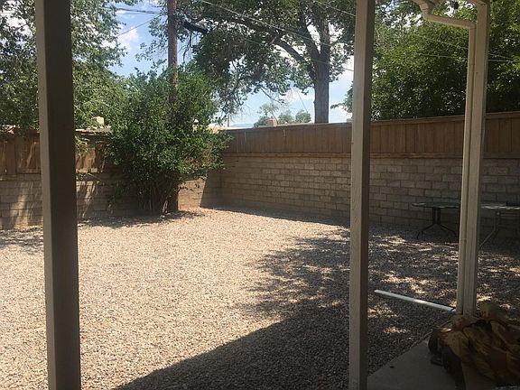 back yard