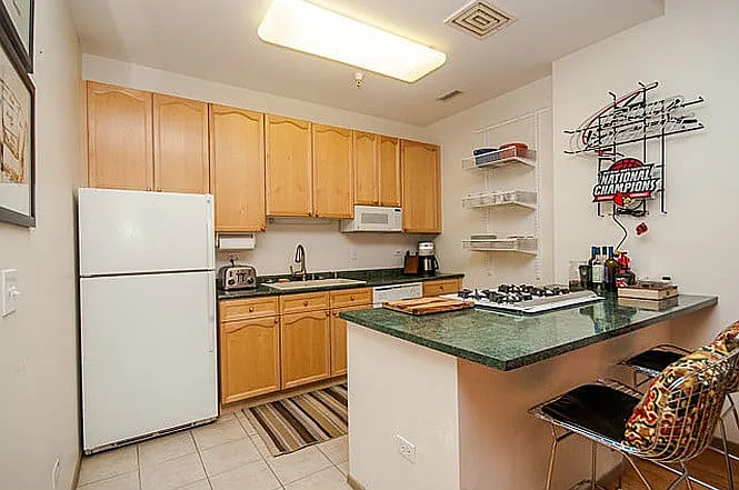 330 S Michigan Ave #1510 — Photo 6