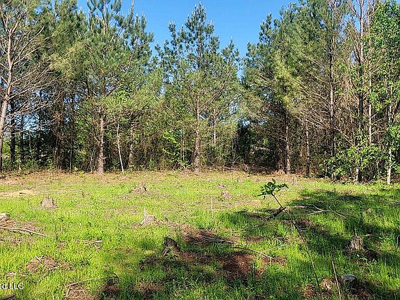 2nd image of 290 Mount Helm Rd