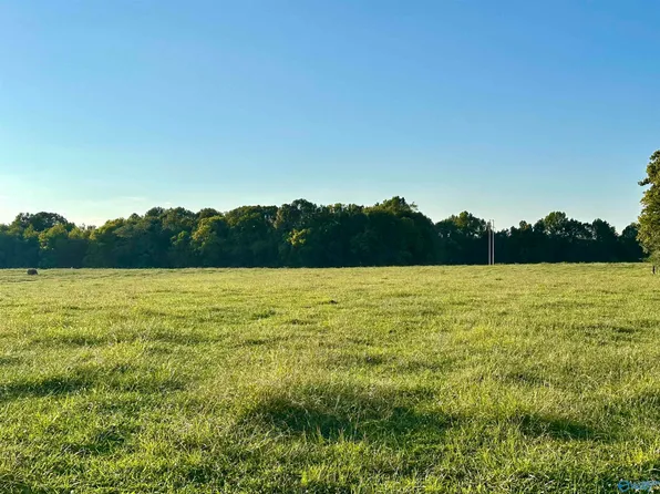 1314 W Clearmont Dr, Elkmont, AL 35620