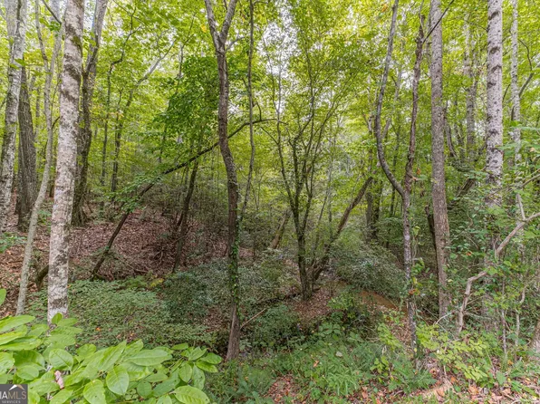 4033 Hidden Hollow Dr, Gainesville, GA 30506