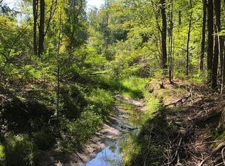 Todd Rd, Whitehall, MI 49461