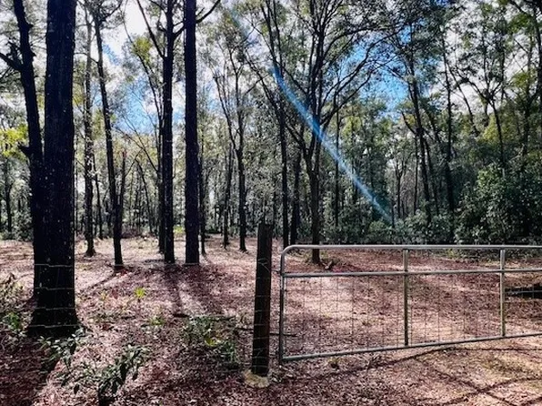 0 NW 36th Ln, Bell, FL 32619