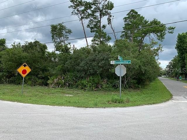 2nd image of Panther St