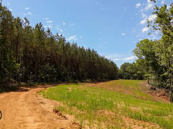 7000 Wolf Pen Rd, Pocahontas, TN 38061