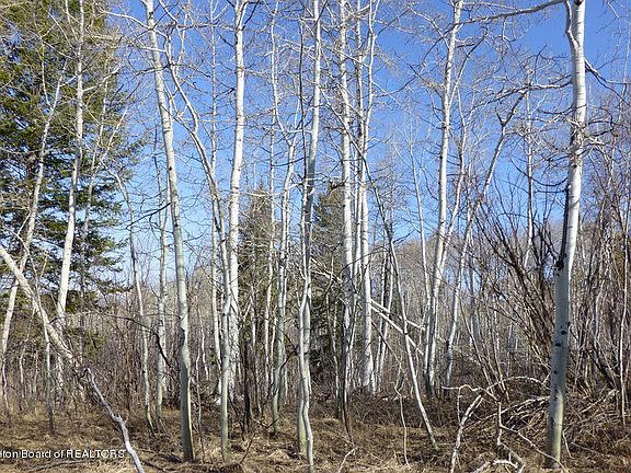 3rd image of 43 Moose Lane Thayne Wy 83127