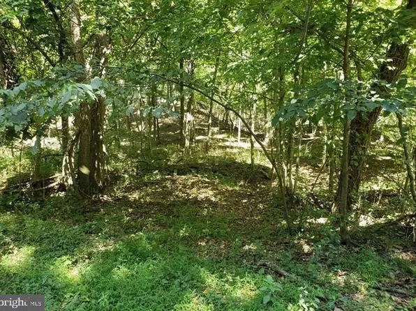 9 Lake Ferndale Dr, Springfield, WV 26763