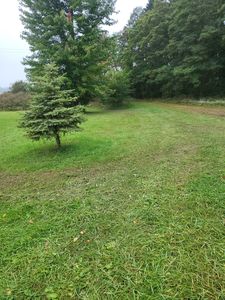 9394 Slattery Rd, Marlette, MI, 48453