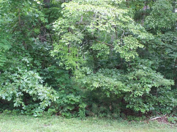 2028 Mayflower Dr Lot 2028, Greenbackville, VA 23356