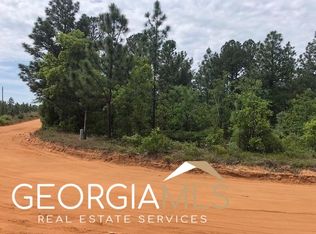 25 Desert Dr, Mauk, GA 31058