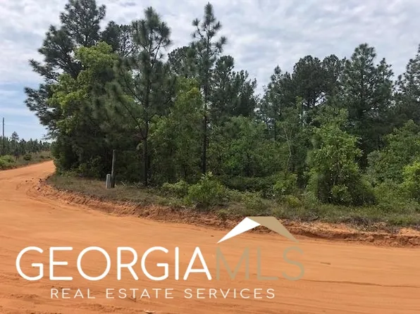 25 Desert Dr, Mauk, GA 31058