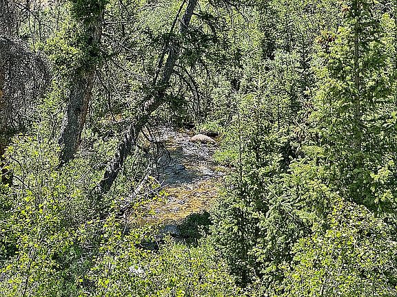 5th image of LOT 1 Forest Service Rd #766