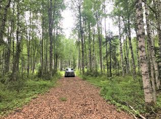 51315 S Bald Eagle, Talkeetna, AK 99676
