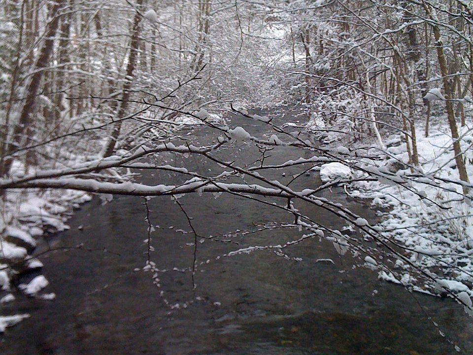 1st image of Little Snowbird Creek