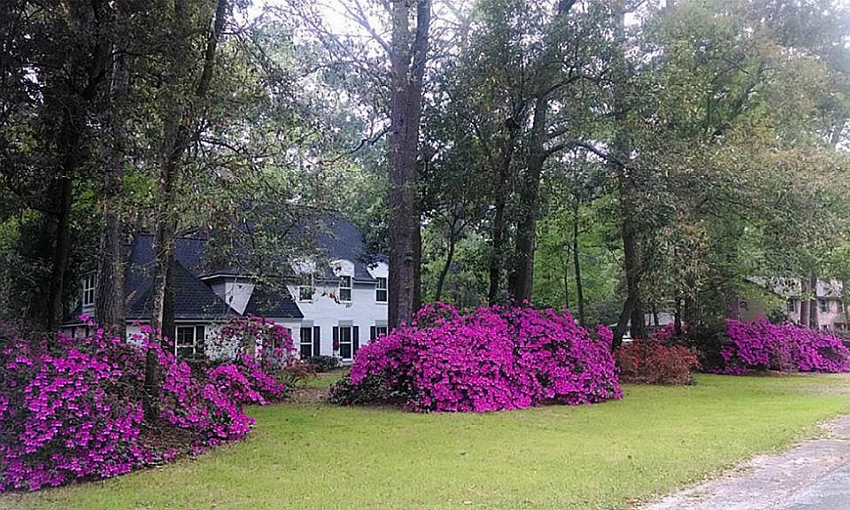 1st image of 2626 Royal Circle Dr