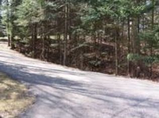 115 Birchwood Ln, Cadillac, MI 49601