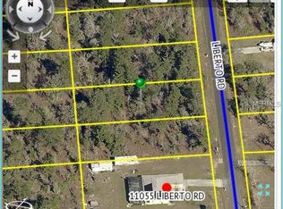 11073 Liberto Rd, Weeki Wachee, FL 34614