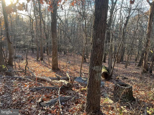 Stone Ridge Rd, Harpers Ferry, WV 25425