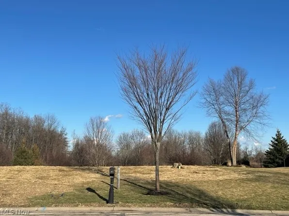 4102 Appleridge Ln, Richfield, OH 44286