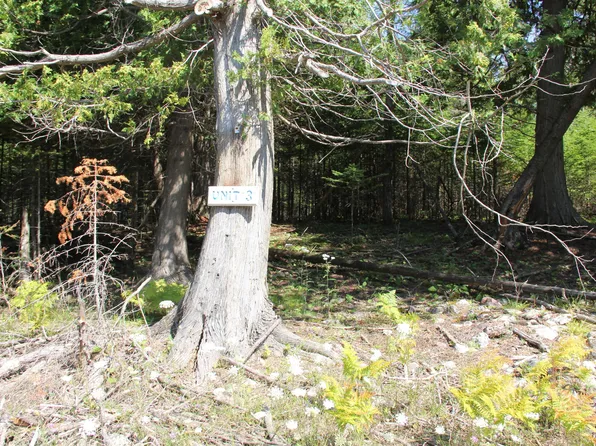 Old Ferry Dock Rd, De Tour Village, MI 49725