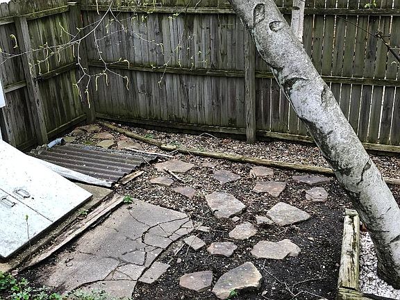 Backyard - west corner