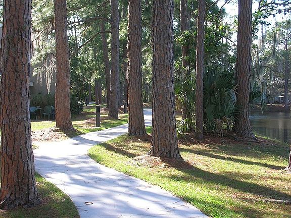 Path behind condo