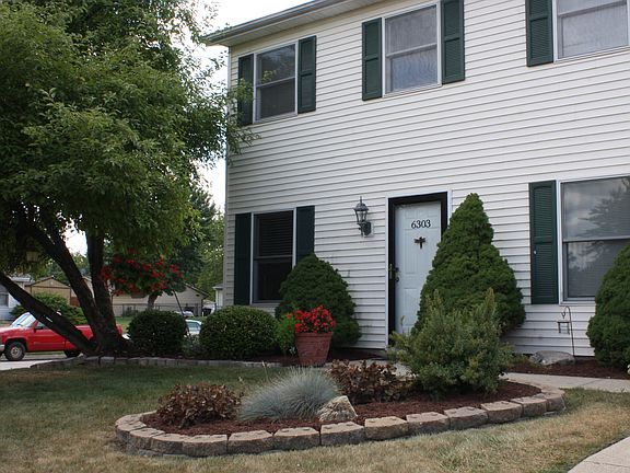 Delious Apples from tree