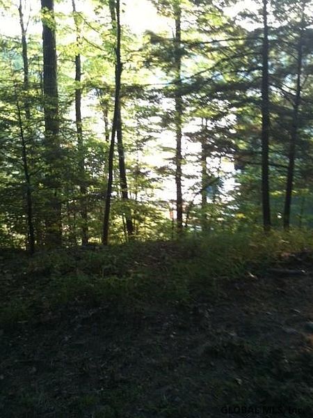 4th image of 84 HARRIMAN RD