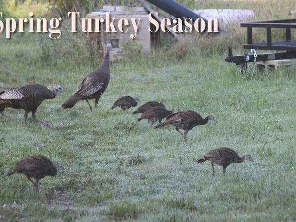 Sparks Corner Sparks Mill At Route Rd #213, Centreville, MD 21617