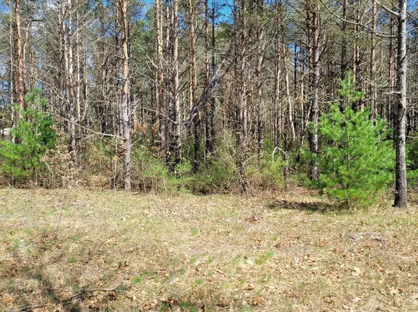 V/l N West County Line Rd, Newaygo, MI 49337