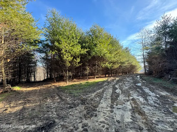 0 Clayton Dr, Wallingford, KY 41093