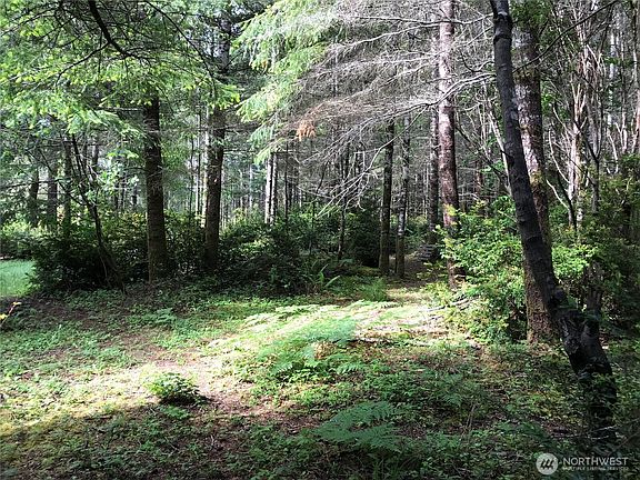 3rd image of 323 E Pickering Road