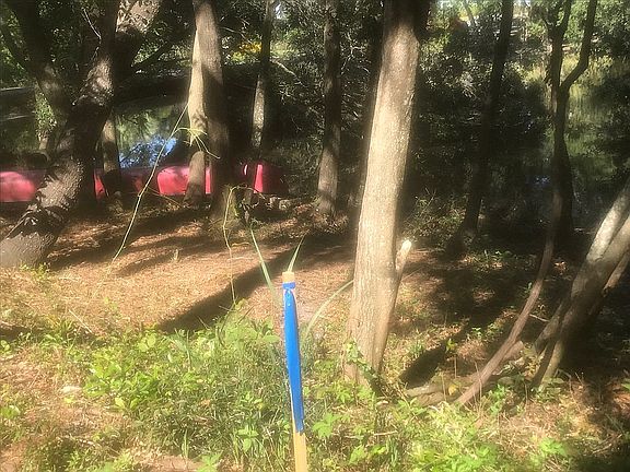 Decks can overlooking creek