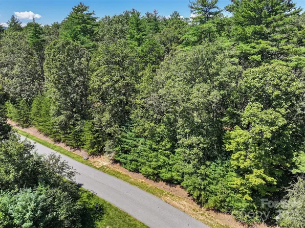 15 Mirehouse Run, Asheville, NC 28803