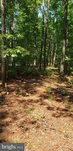 20227 Doddtown Rd, Harbeson, DE, 19951