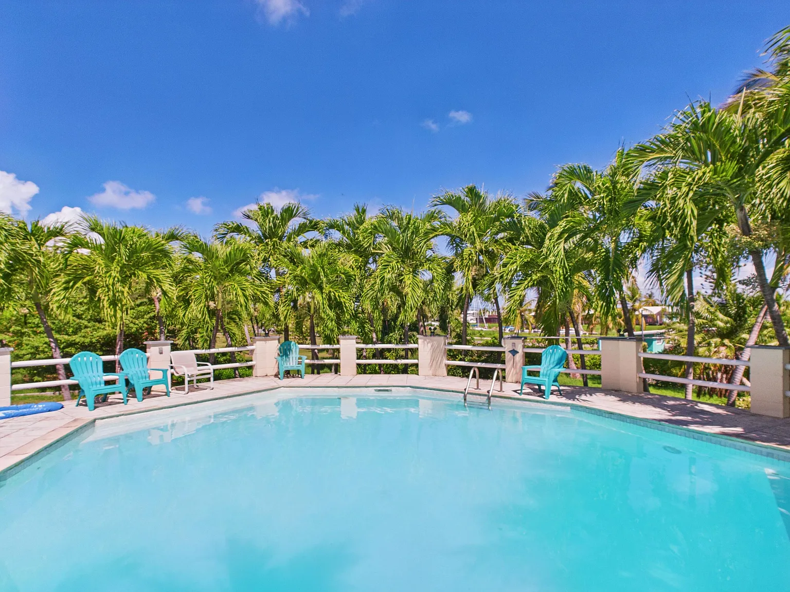 1 bed, $1,800 — Photo 4