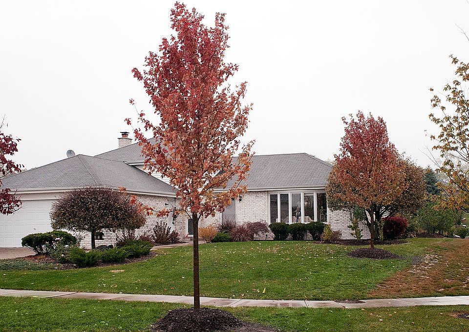 1st image of 15029 S Ivy Ct