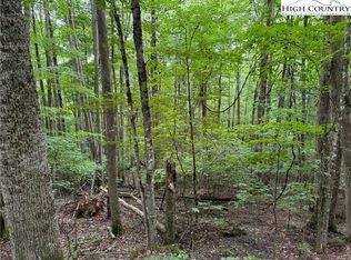 119 Raccoon Rd, Banner Elk, NC 28604