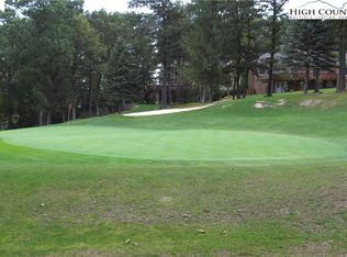 TBD Wentworth Place #193, Roaring Gap, NC 28668