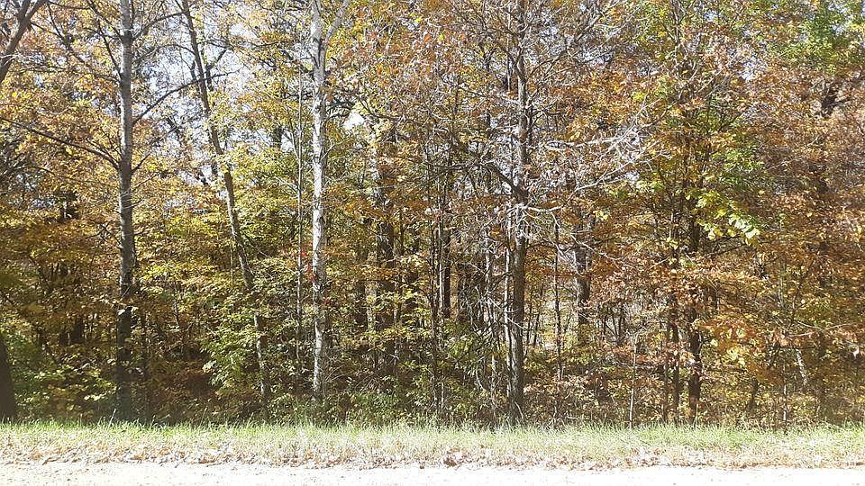 LOT 17 Pine Island Point Dr, Browerville, MN 56438 MLS 6436420 Zillow